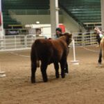 2015 NWSS Part 1 016