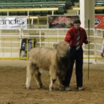 2015 NWSS Part 1 022