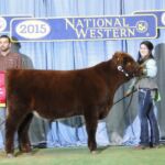 2015 NWSS Part 1 024