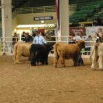 2015 NWSS Part 1 028