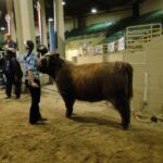 2015 NWSS Part 1 033