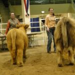 2015 NWSS Part 1 041