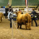 2015 NWSS Part 1 045