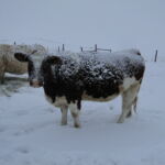 First snoq Feb. 24, 2014 010