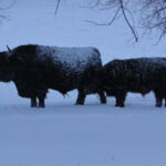First snoq Feb. 24, 2014 025