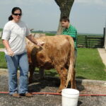 eric-2013-cow-camp-003-1-jpg