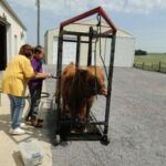 eric-2013-cow-camp-004-jpg