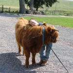 eric-2013-cow-camp-012-jpg