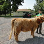 eric-2013-cow-camp-014-jpg