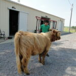 eric-2013-cow-camp-020-jpg