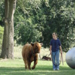 eric-2013-cow-camp-022-jpg