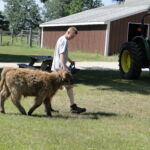 eric-2013-cow-camp-026-jpg