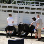 eric-2013-cow-camp-030-jpg