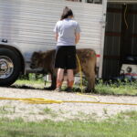 eric-2013-cow-camp-032-jpg