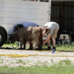 eric-2013-cow-camp-034-copy-jpg
