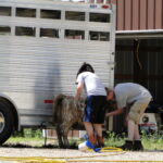 eric-2013-cow-camp-037-jpg