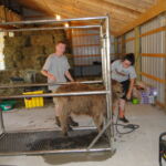 eric-2013-cow-camp-038-copy-jpg