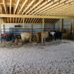 eric-2013-cow-camp-041-jpg