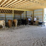eric-2013-cow-camp-044-jpg