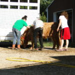 eric-2013-cow-camp-050-jpg