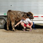 eric-2013-cow-camp-051-jpg
