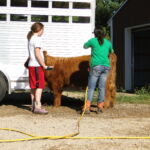 eric-2013-cow-camp-053-copy-jpg