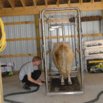 eric-2013-cow-camp-054-jpg