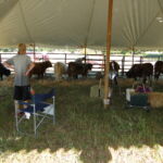 eric-2013-cow-camp-056-jpg