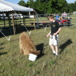 eric-2013-cow-camp-072-copy-jpg