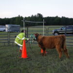 eric-2013-cow-camp-127-jpg