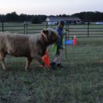 eric-2013-cow-camp-136-jpg