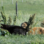 june-2012-003