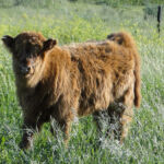 june-2012-004