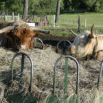 june-2012-009