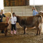 Olivia Moore & Almosta Farm’s Star 1