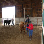 Isaiah Moore and Steer 2